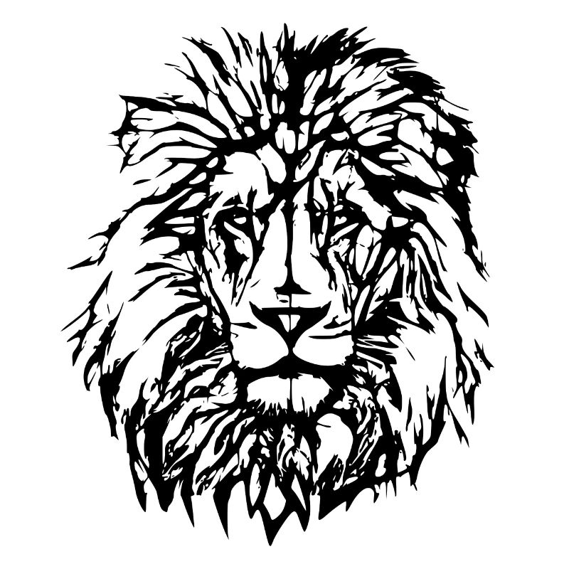 Lion / Animal