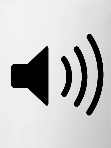 Speaker icon