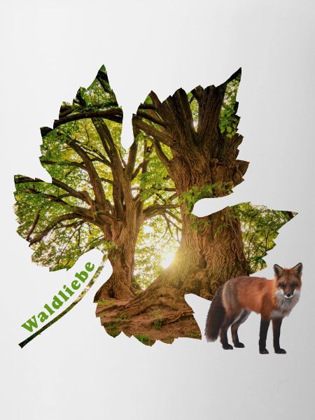 forest 48 with fox