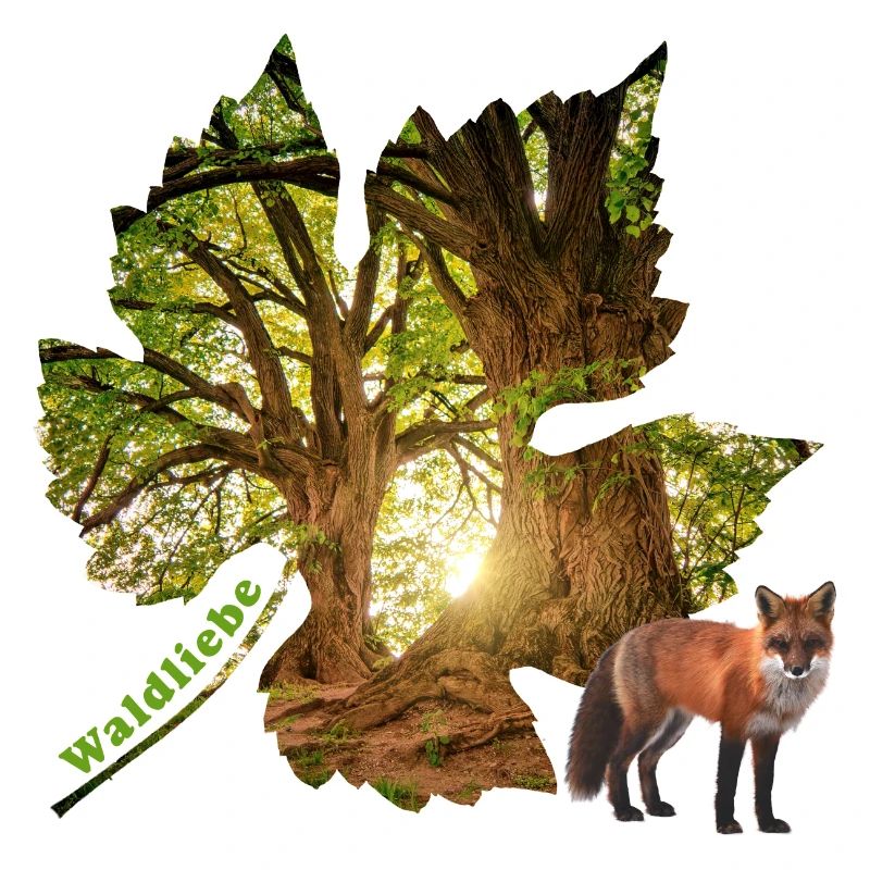 Forêt 48 avec renard