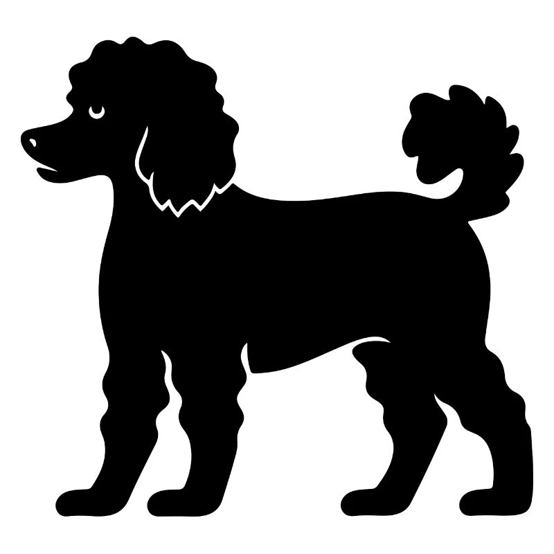 Poodle Dog