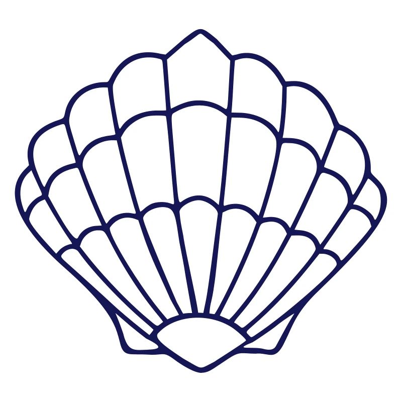 Pétoncle IXb Bleu
