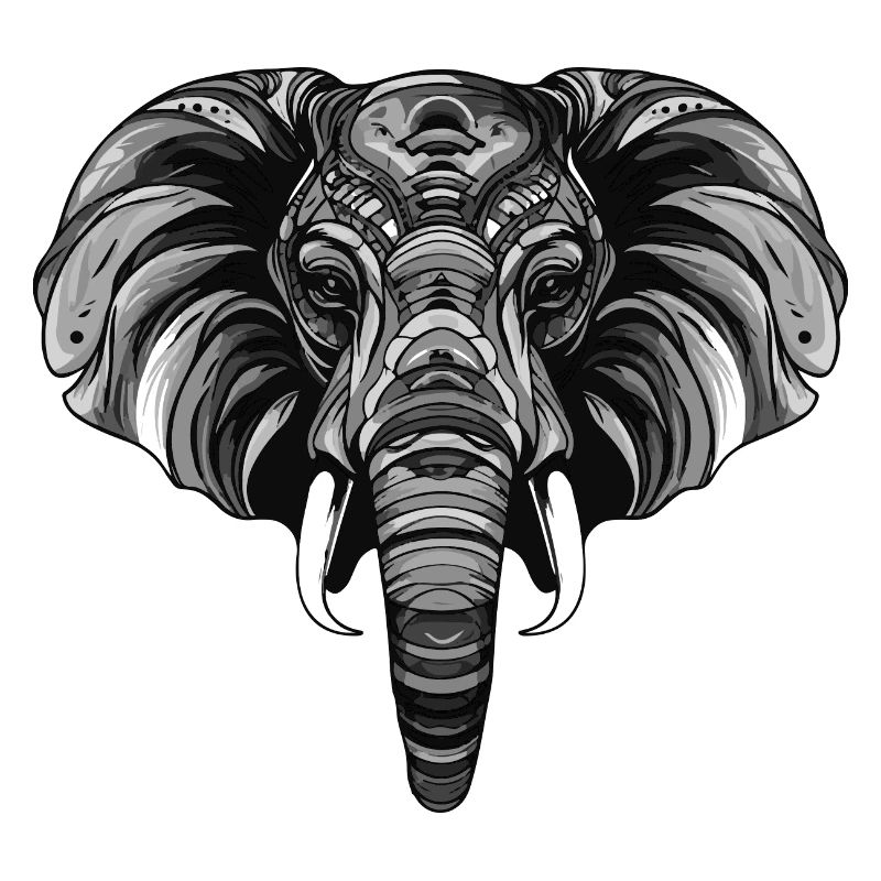 Portrait d’éléphant