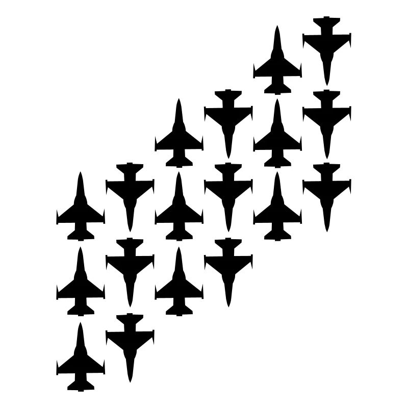 avion de combat