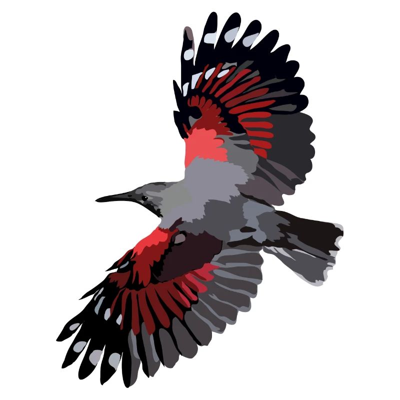 Mauerläufer