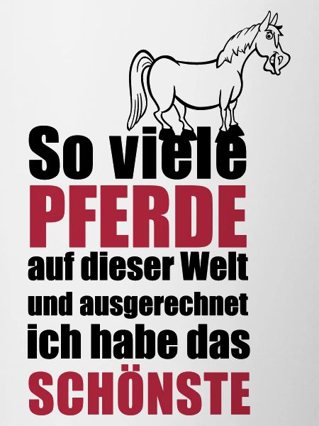 Das schönste Pferd