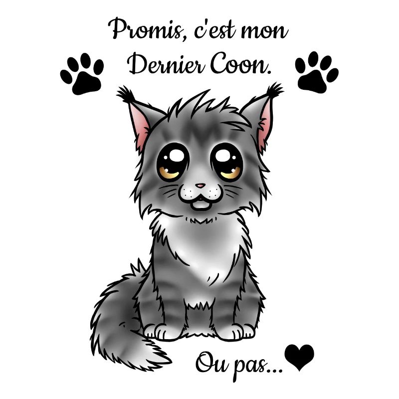 Maine Coon - Black Silver