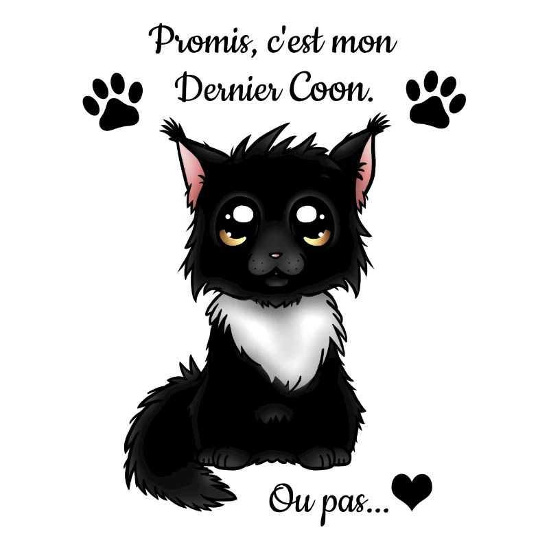 Maine Coon - Black & White