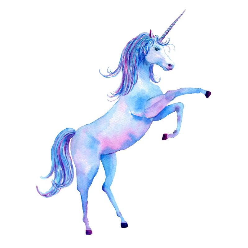Licorne / Licorne 20 4