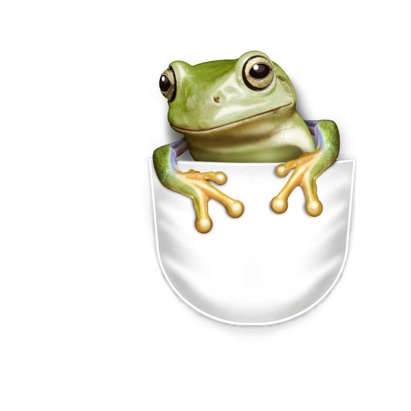 TASCHENFROSCH