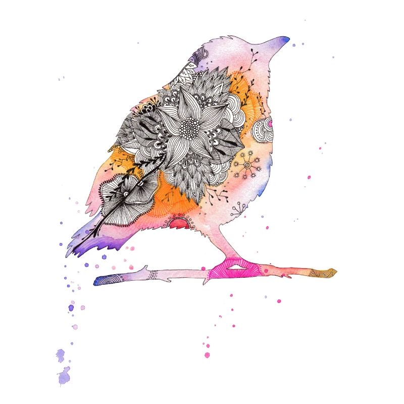 oiseau