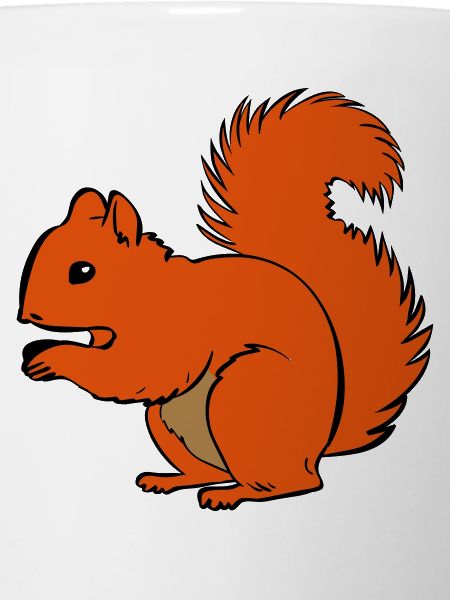écureuil