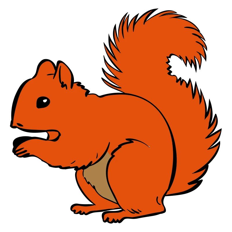 squirrel