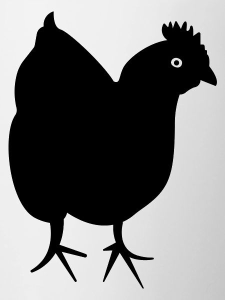 Chicken - hen