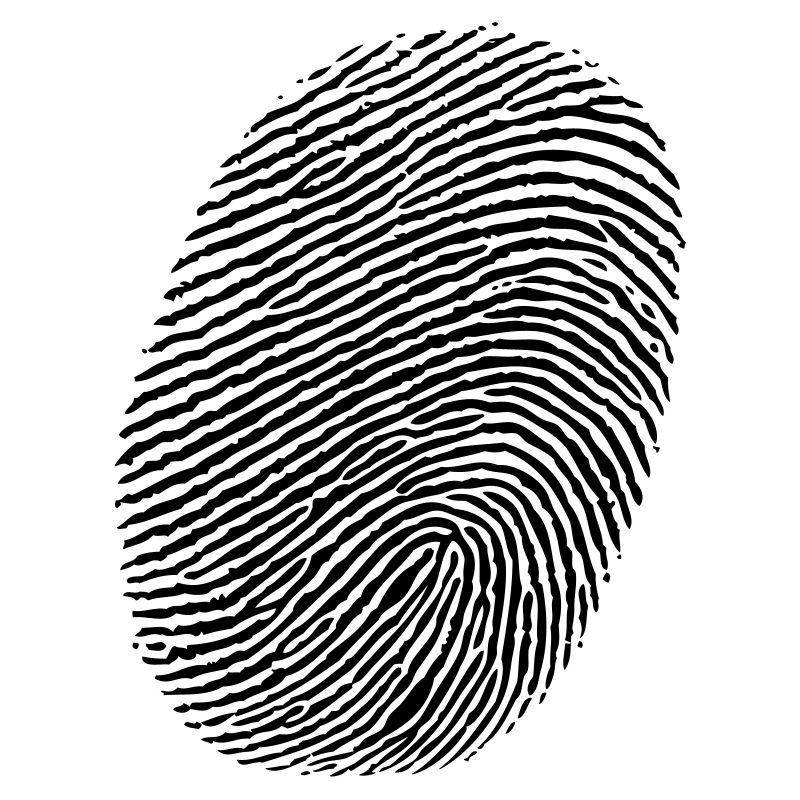 Finger - empreintes digitales