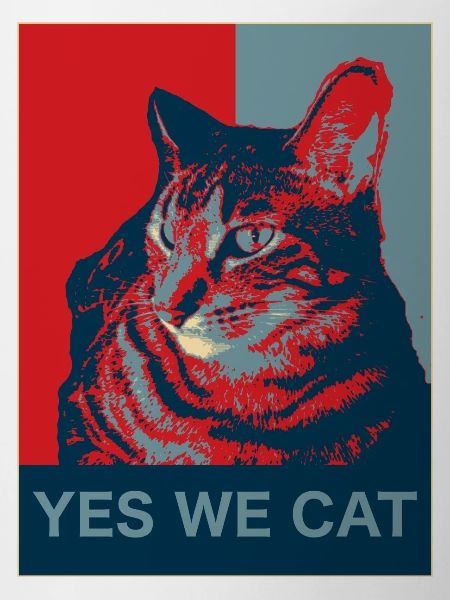 Yes we Cat