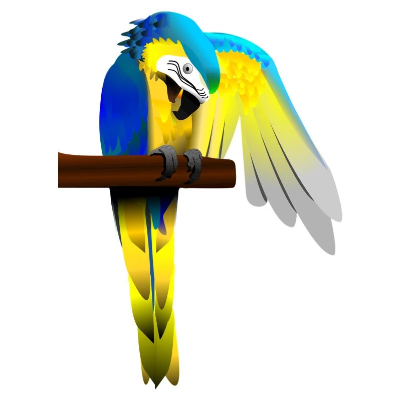 Parrot