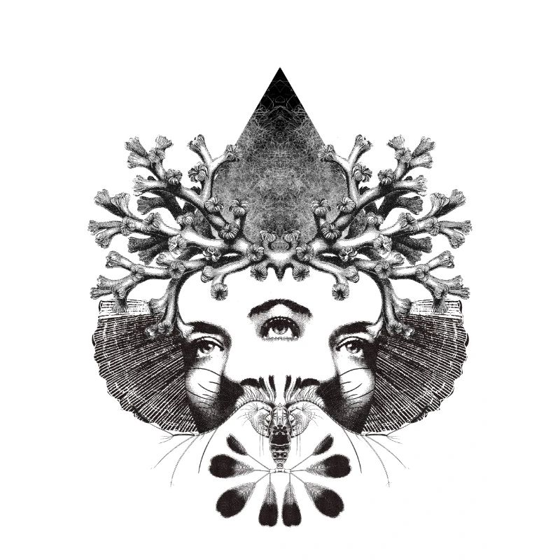 Cyclophate Mystical
