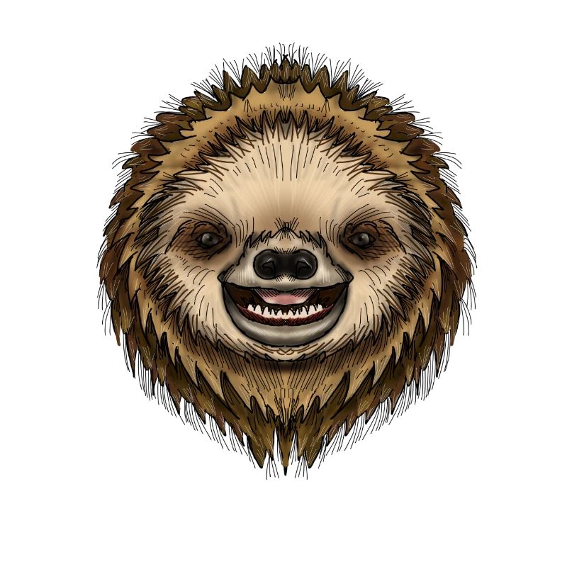 Simon Sloth par Jon Ball