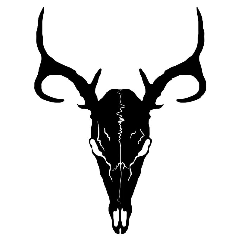 Deer skull