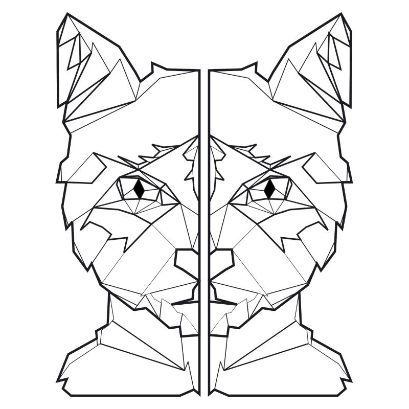 ami chat, ami de chat, chemise de chat