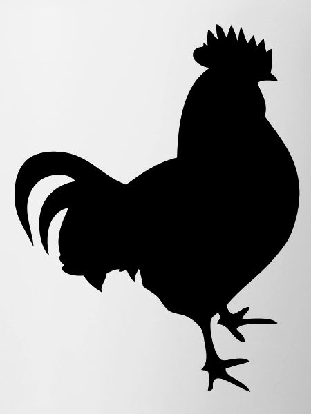 cock cock chicken2
