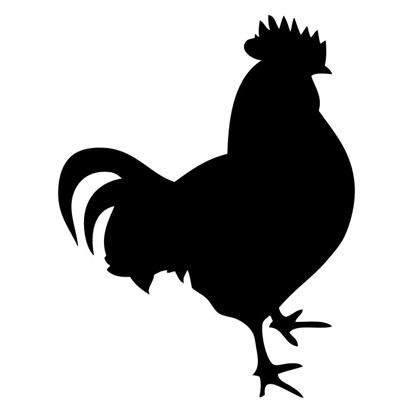 cock cock chicken2