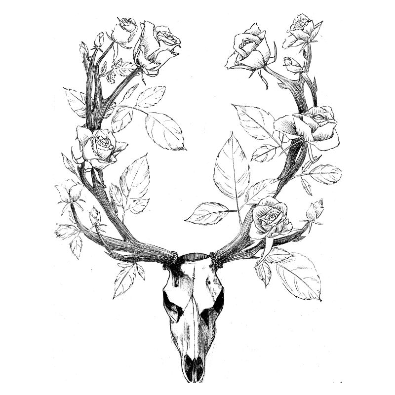 cerf roses
