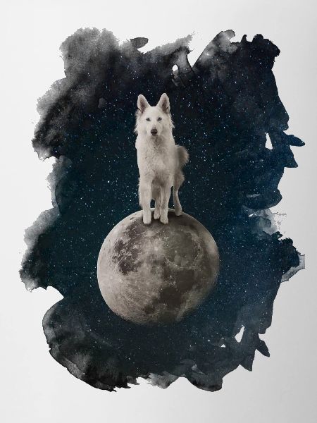 Mystical Wolf