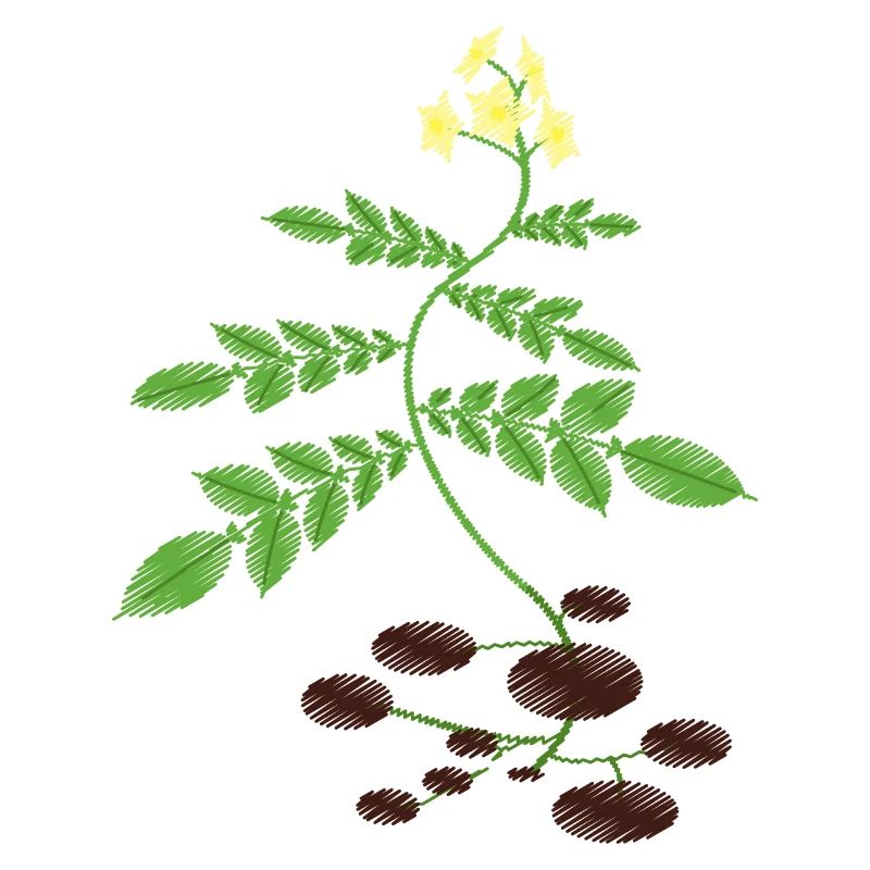 Veganer Vegetarier Tierschutz Geschenkidee