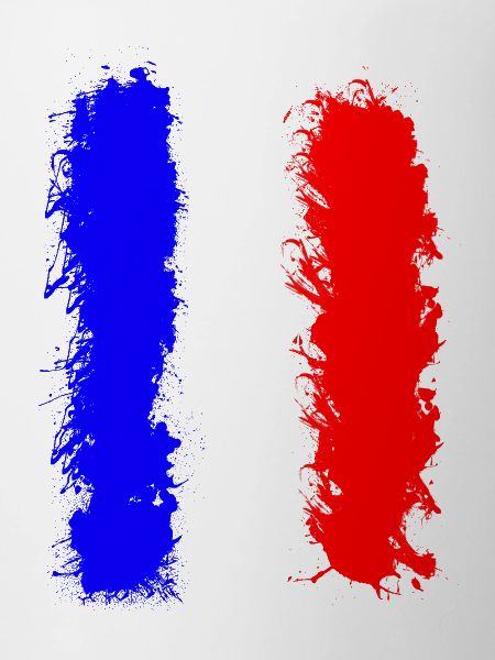 French flag