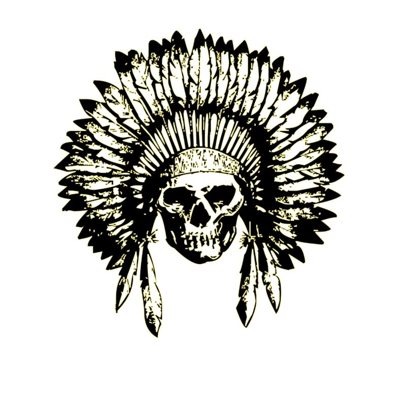 Crâne indien