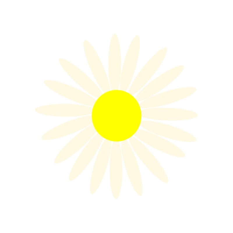 daisy
