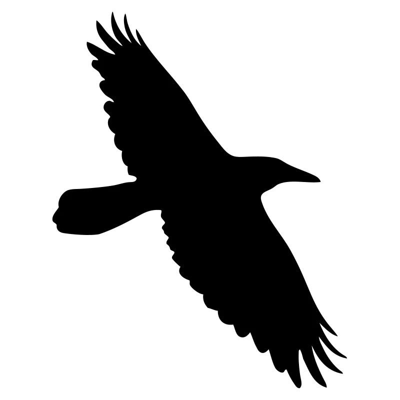 Krähe Rabe Corvus Vogel im Flug