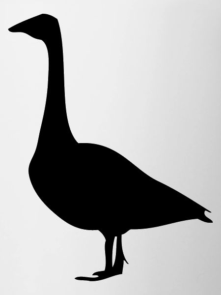 Gans
