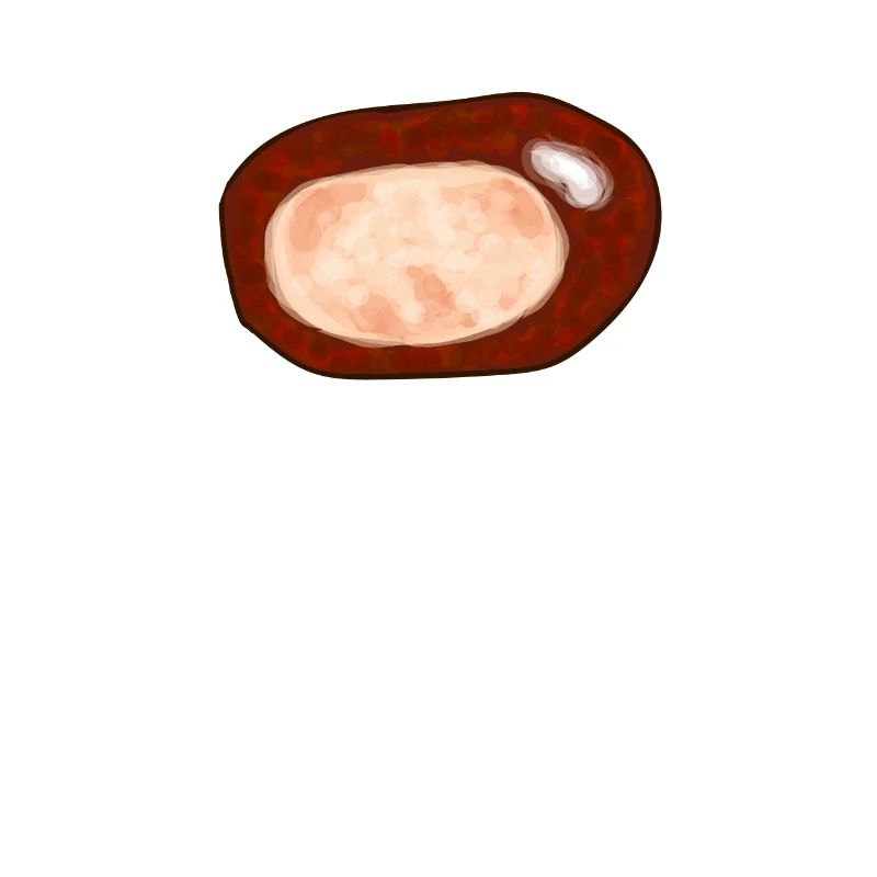 Kastanie