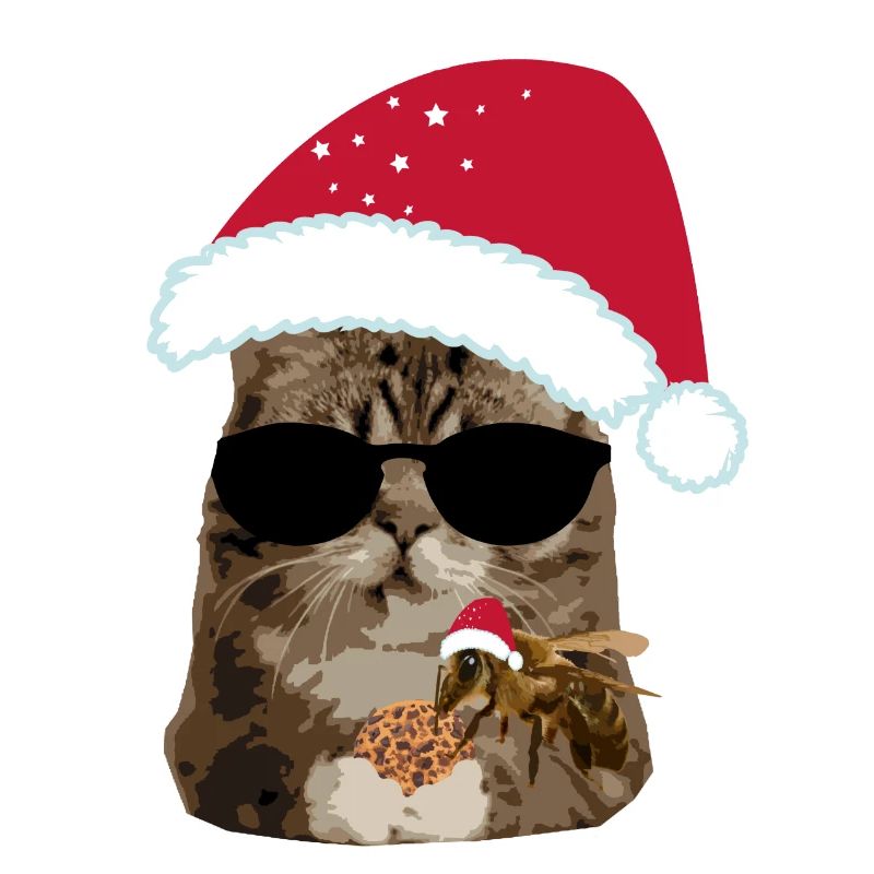 Chat de Noël cool avec biscuit d’abeille