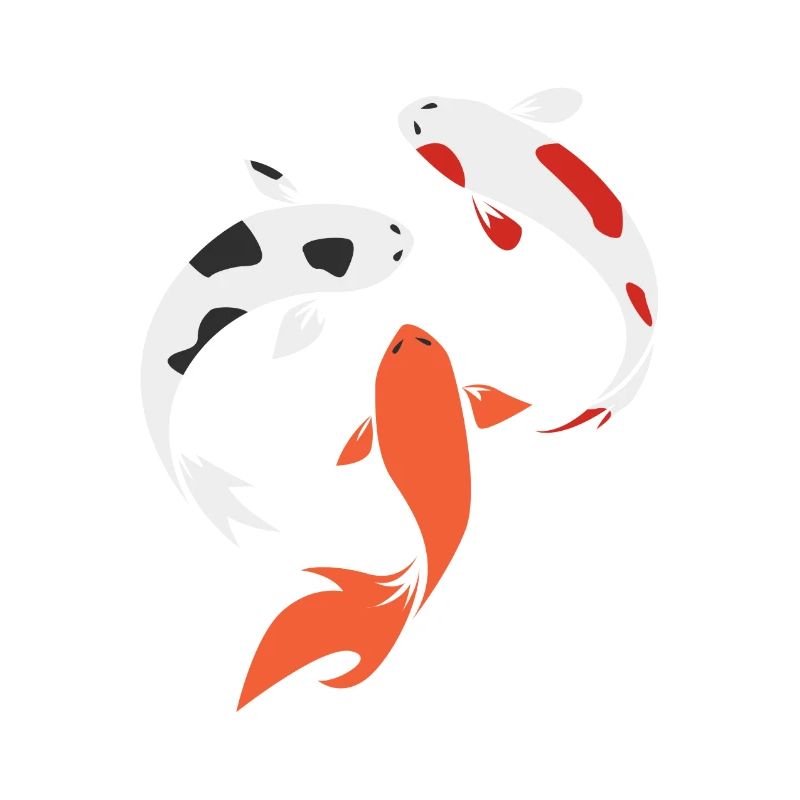 Koi