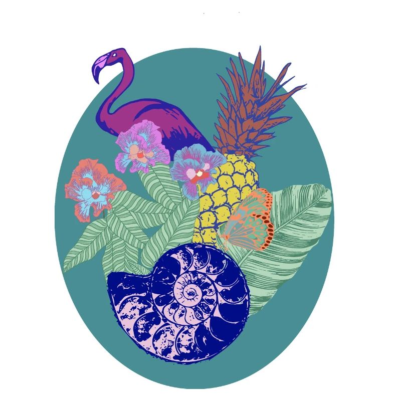 flamingo, pineapple and shell