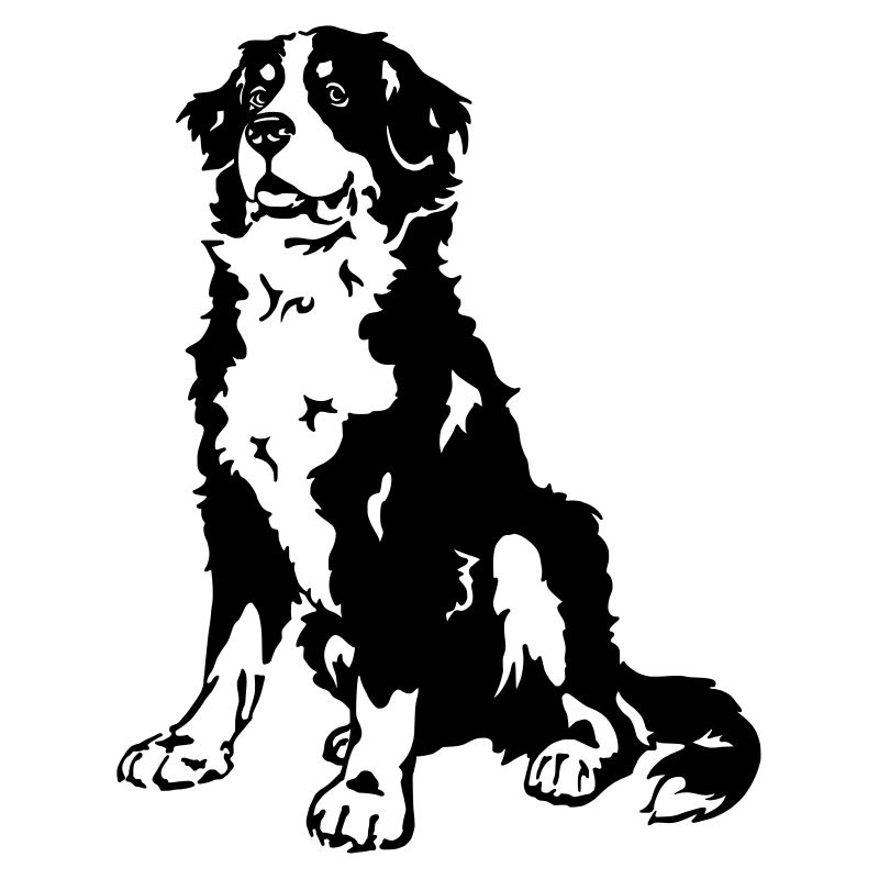Chien de montagne bernois