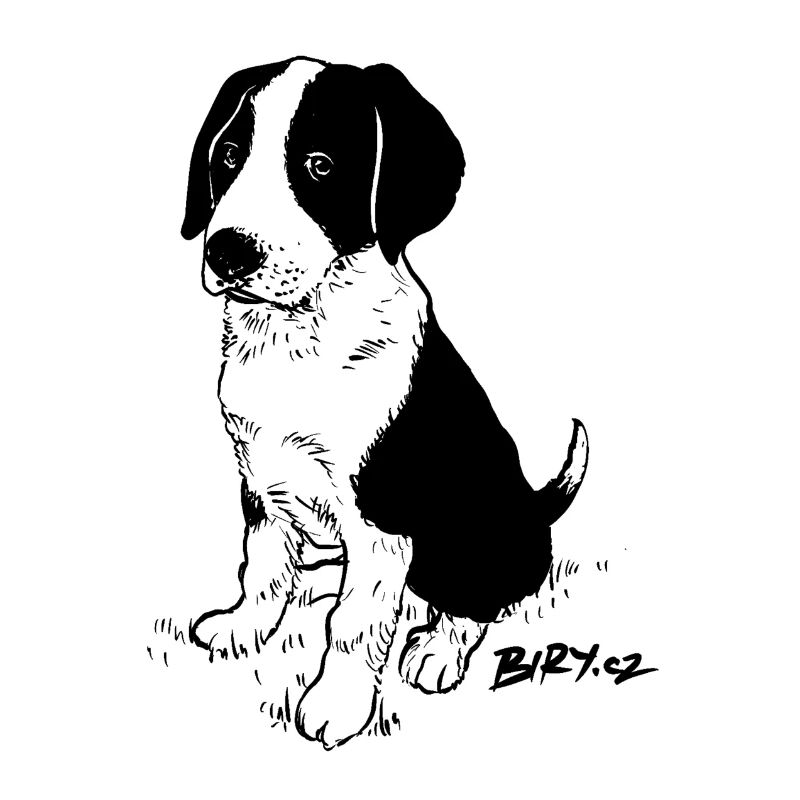Chien chiot Buddy
