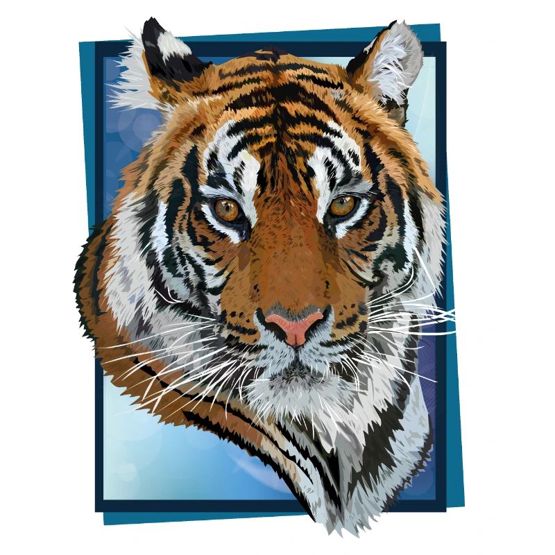tigre du Bengale