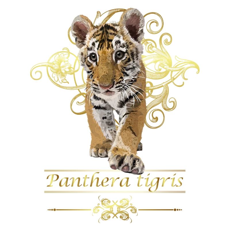 bengalischer Tiger