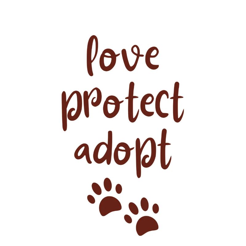 aimer, protéger, adopter - aimer les animaux / animaux de compagnie