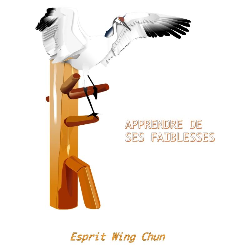 wing chun crane