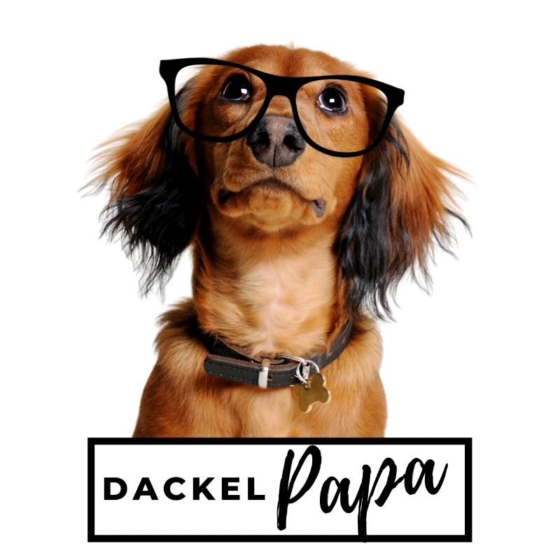 Dackel Papa - Dackel mit Brille