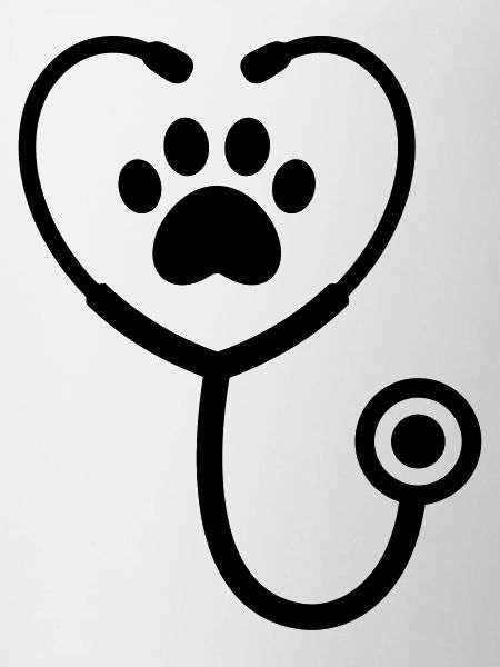 Vet paw icon