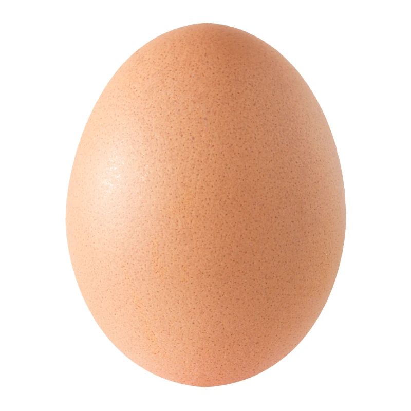 Egg, New Year