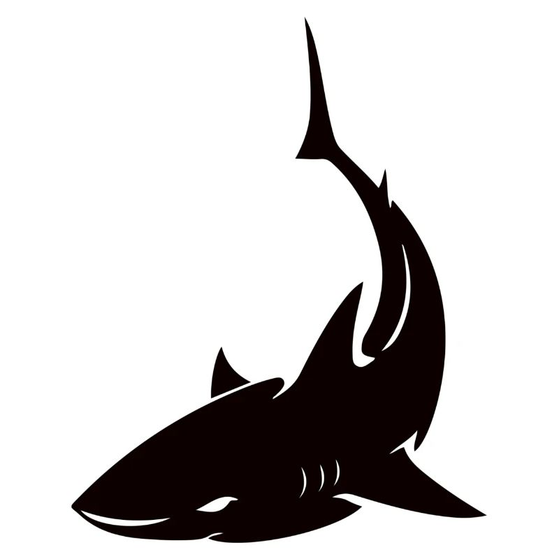 Hai Shark