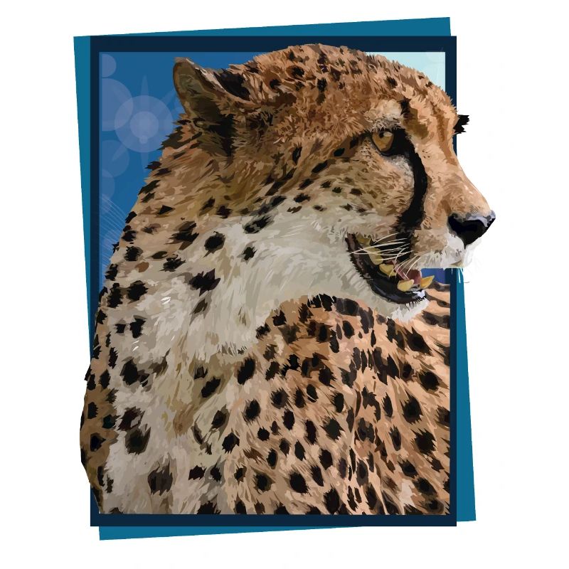 Gepard